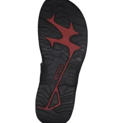 Herren Ecco Sandalen<Offroad 069564, Klassische Sandalen, Herren, Schwarz (BLACK/MOLE/BLACK)