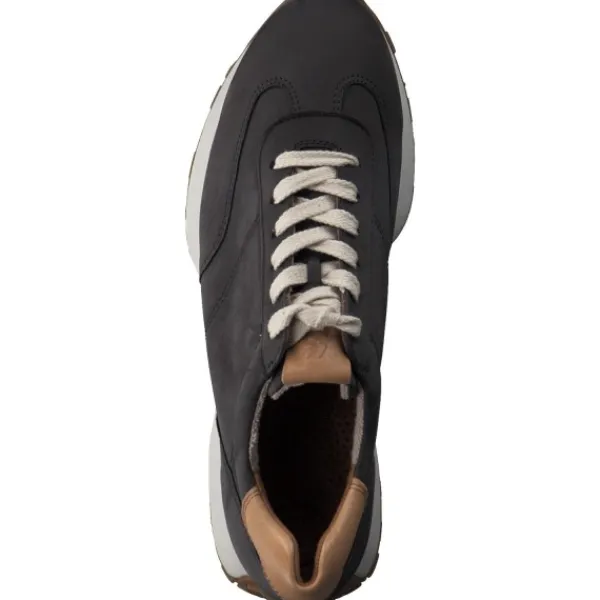 Damen Paul Green Sneakers<5211, Sneakers Low, Damen, Iron