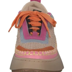 Damen Steve Madden Klassische- & Business Schuhe<Doubletake SM11002798, Schnürschuhe, Damen, Beige